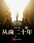 商人小说从商二十年