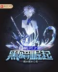 宝贝小说精灵之黑暗崛起