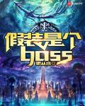 英雄小说假装是个boss