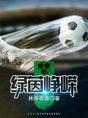 网游小说最新小说绿茵峥嵘