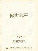 傲世武王