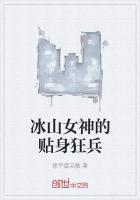 任务小说冰山女神的贴身狂兵