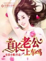 首长老公,上车吗？