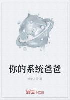 你的系统爸爸