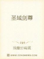 圣光小说圣域剑尊