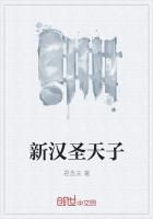 新汉圣天子
