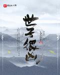 历史小说小说世子很凶