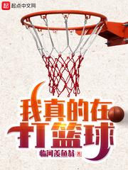 网游小说最新小说我真的在打篮球