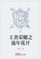 荣耀小说王者荣耀之流年花开