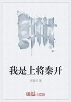 我是上将秦开