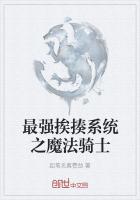 最强挨揍系统之魔法骑士