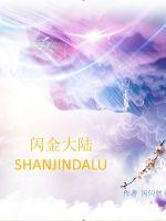 闪金大陆
