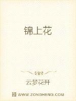 锦上花