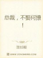总裁,不娶何撩！