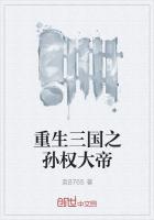 重生三国之孙权大帝
