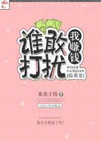 网游小说最新小说[综英美]谁敢打扰我赚钱