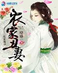 穿越小说农家丑妻