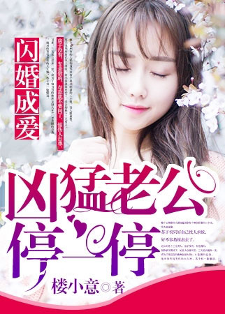 闪婚成爱:凶猛老公停一停