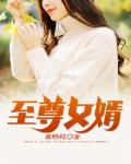 孤儿小说至尊女婿