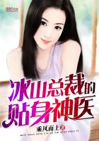 苏寒乔雨珊主角
