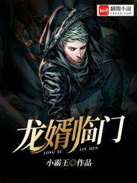 化龙赘婿陈立