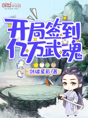 穿越小说开局签到亿万武魂