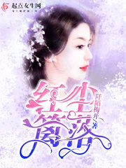 女生小说最新小说红尘篱落