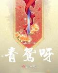 放下小说青鸳呀
