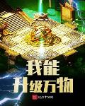 吃饭没有肉作品我能升级万物