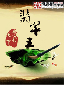 翡翠小说翡翠王
