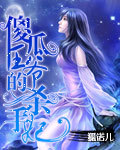 傻瓜王爷的杀手妃小姐