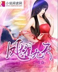 王爷小说凤耀九天