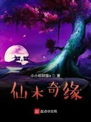 仙木奇缘金丹