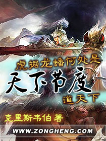 天下节度节度使