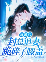 离婚后,封总追妻跪碎了膝盖